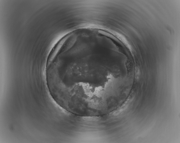 X0000111460863200907271250