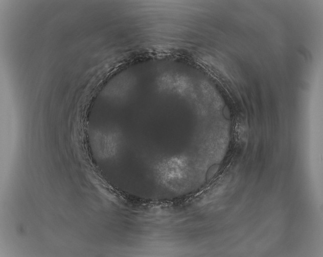 X0000111460865200907271249