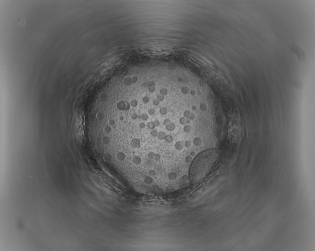 X0000111460866200907271249