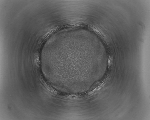 X0000111460867200907271249