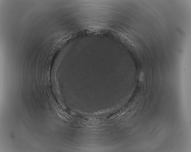 X0000111460868200907271249