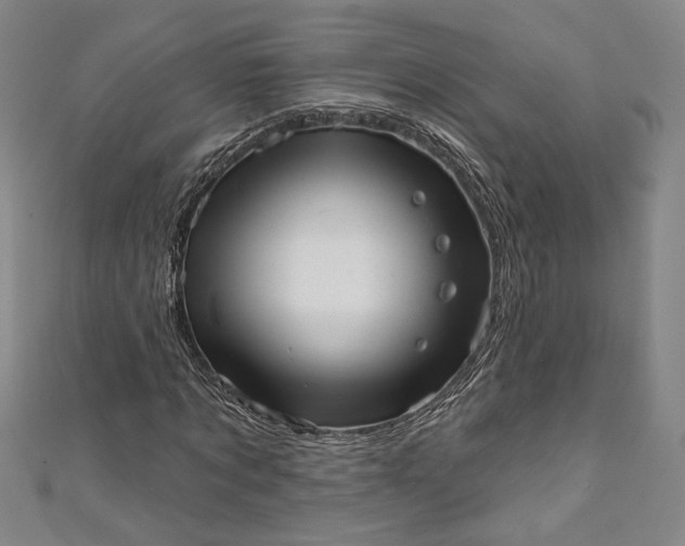 X0000111460869200907271249