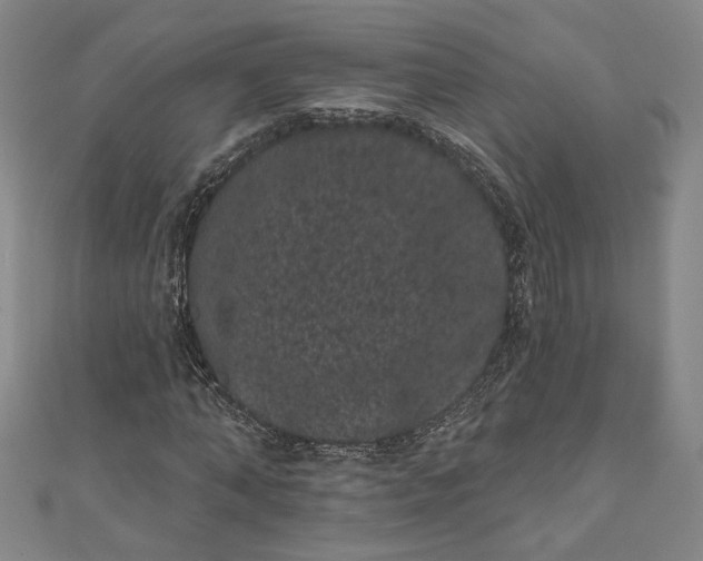 X0000111460870200907271249