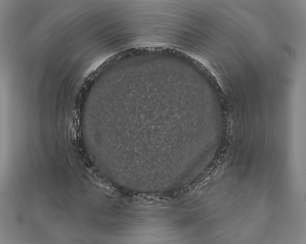 X0000111460871200907271249