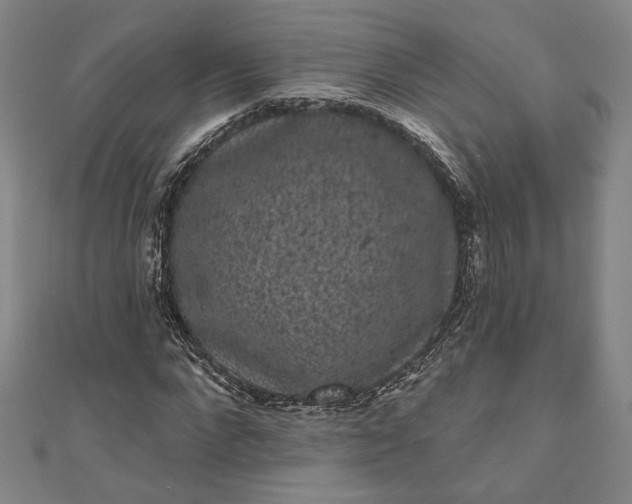 X0000111460872200907271249