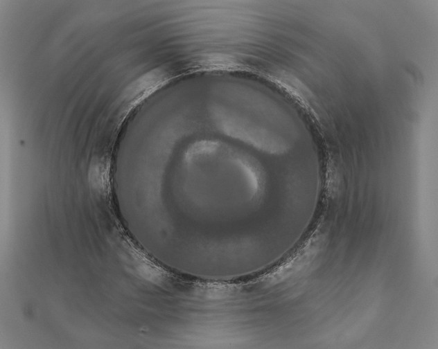 X0000111460873200907271249