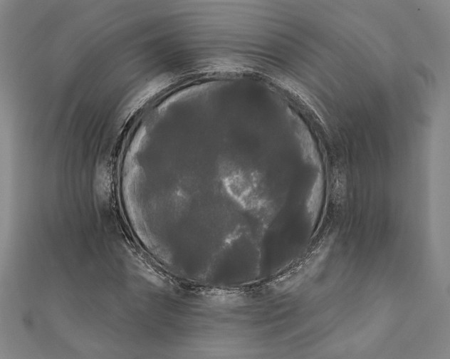 X0000111460874200907271249