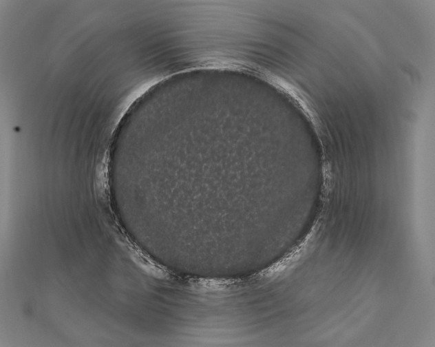 X0000111460875200907271249