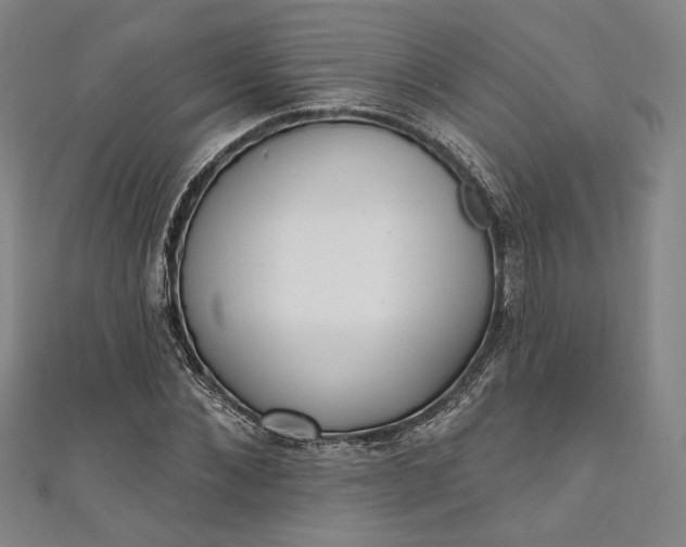 X0000111460876200907271249