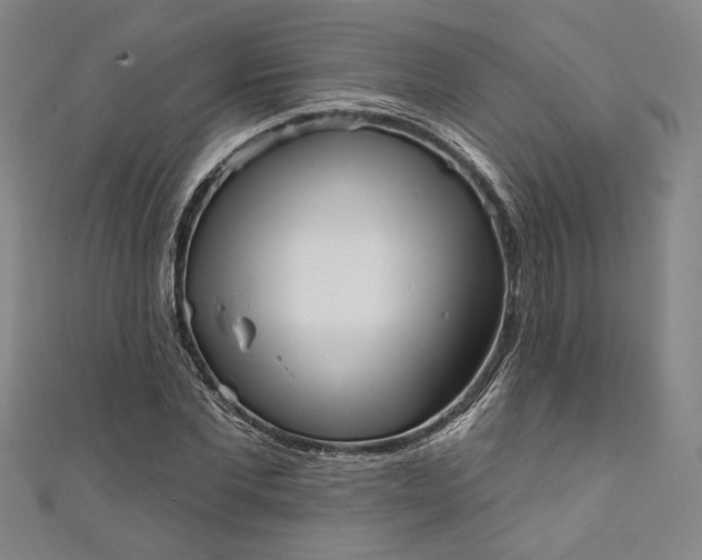 X0000111460877200907271249