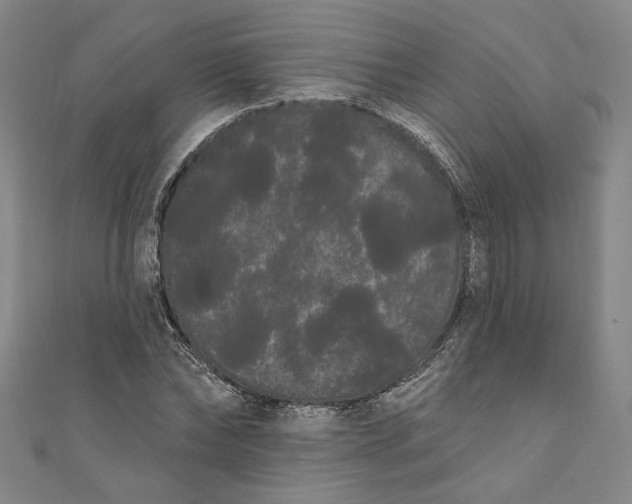 X0000111460878200907271249