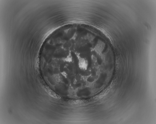 X0000111460879200907271249