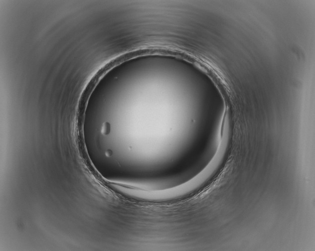 X0000111460880200907271249