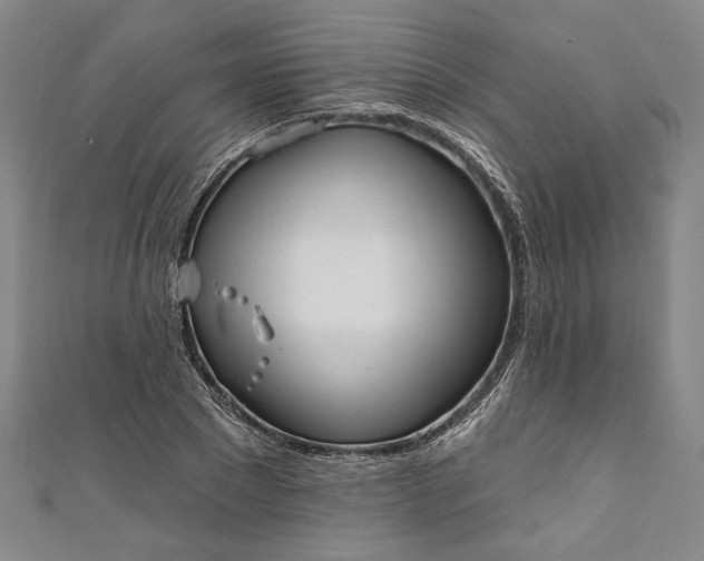 X0000111460881200907271249