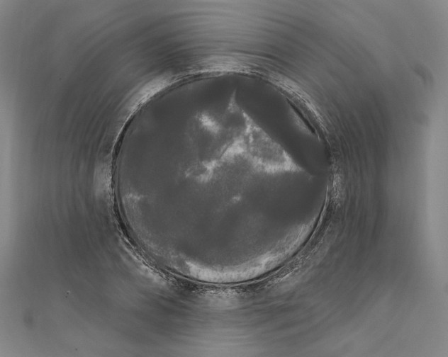 X0000111460882200907271249