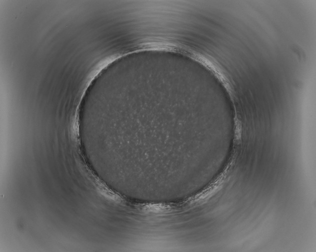 X0000111460883200907271249