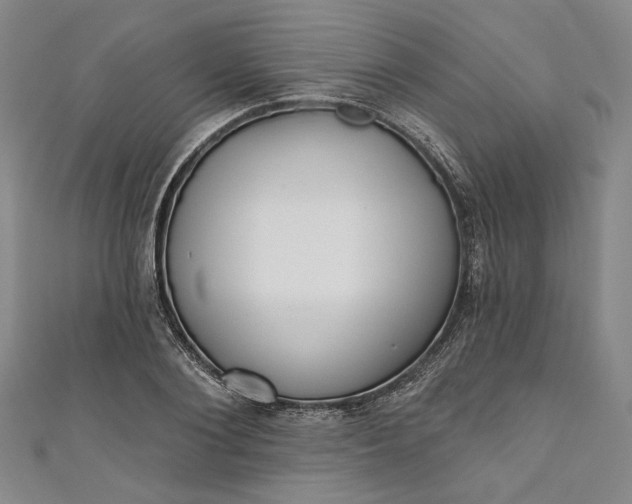 X0000111460884200907271249