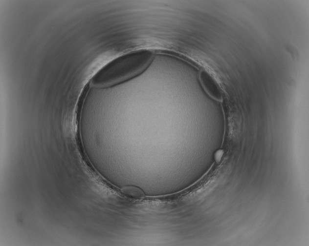 X0000111460885200907271249