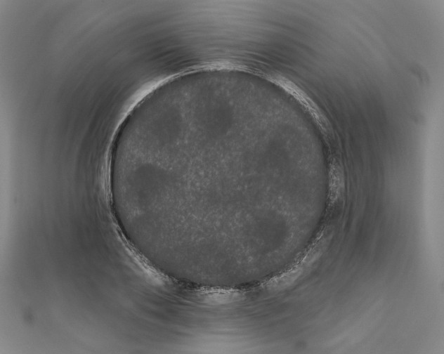 X0000111460886200907271249