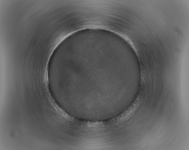 X0000111460887200907271249