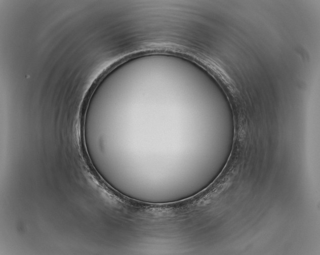 X0000111460888200907271249