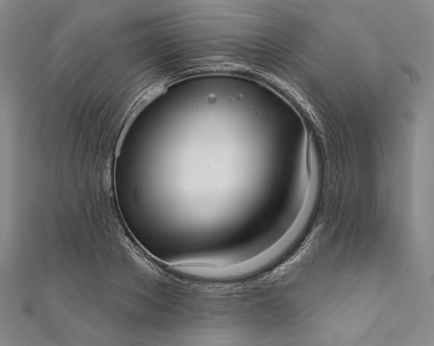 X0000111460889200907271249