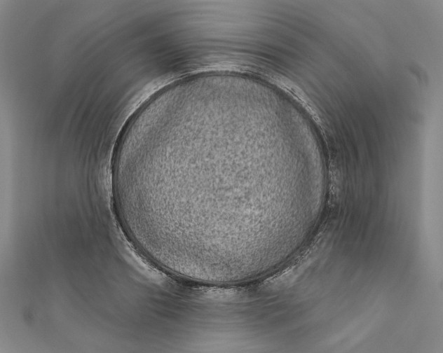 X0000111460890200907271249