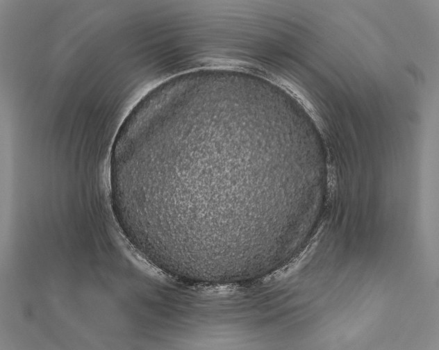 X0000111460891200907271249