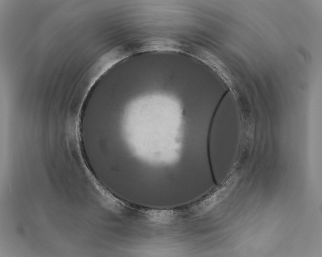 X0000111460893200907271249