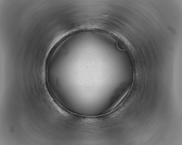 X0000111460894200907271249