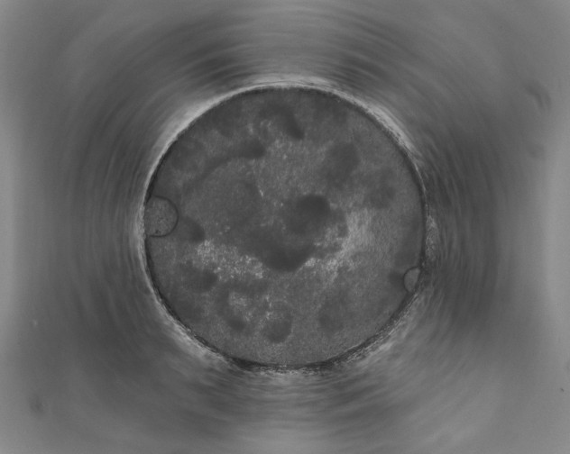 X0000111460895200907271249