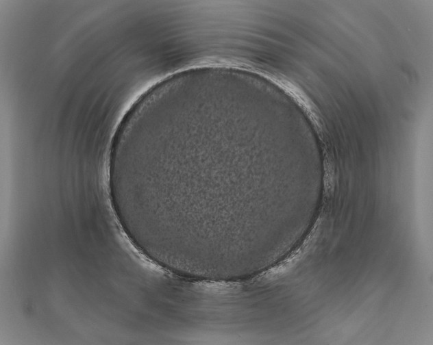 X0000111460896200907271249