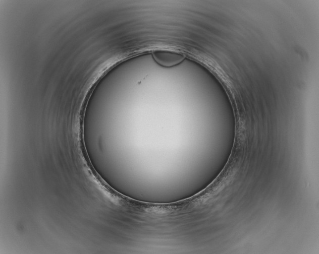 X0000111460898200907271249