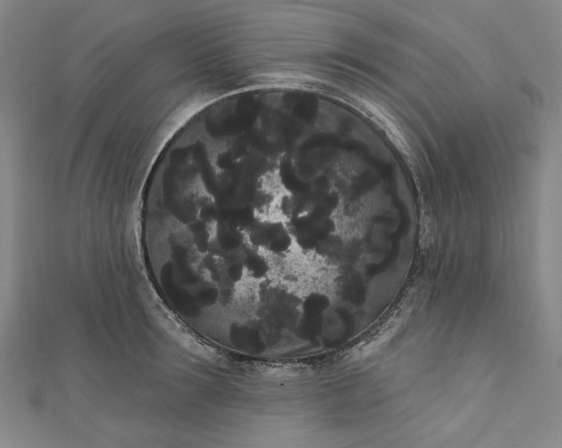 X0000111460899200907271249