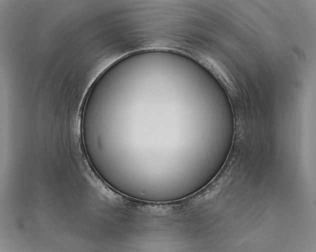 X0000111460900200907271249