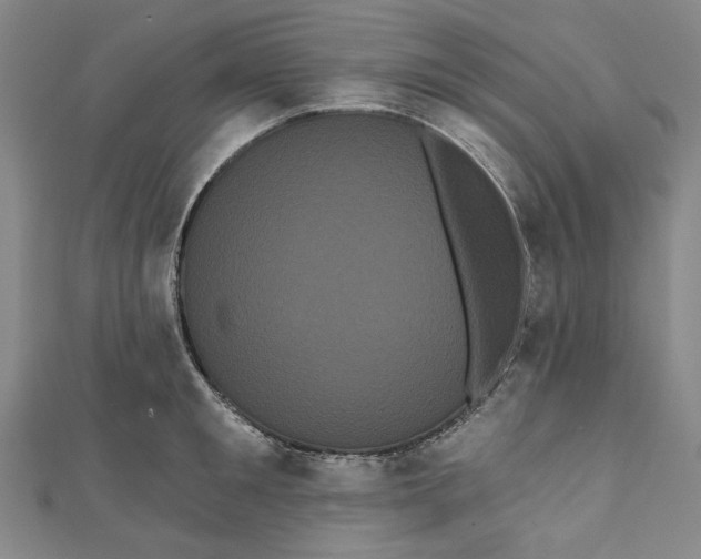 X0000111460901200907271249