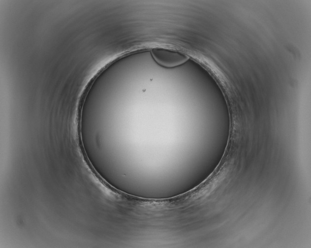 X0000111460902200907271249