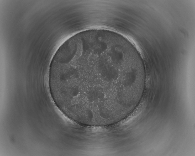 X0000111460903200907271249