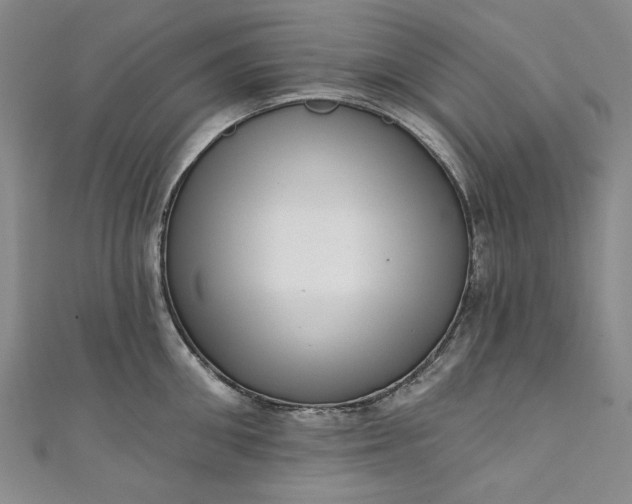 X0000111460906200907271249