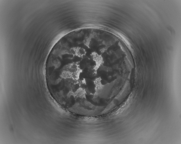 X0000111460907200907271249