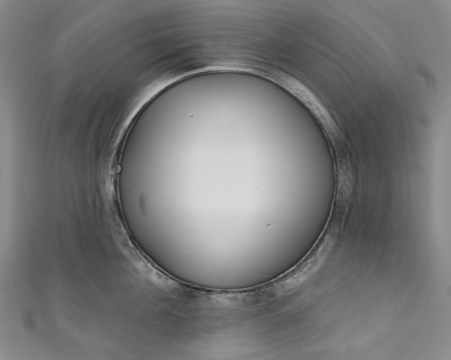 X0000111460908200907271249