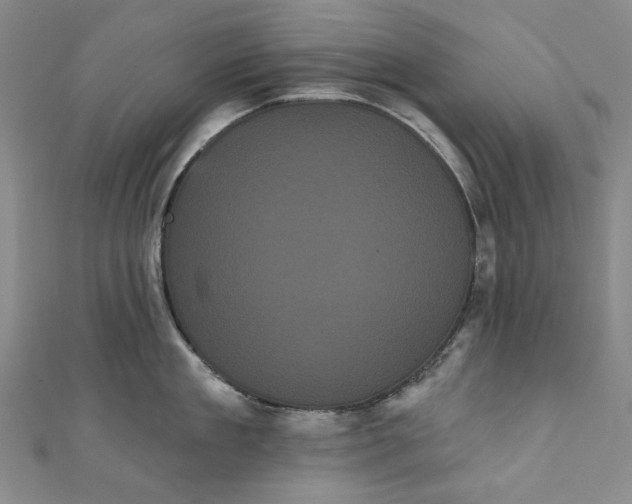 X0000111460909200907271249