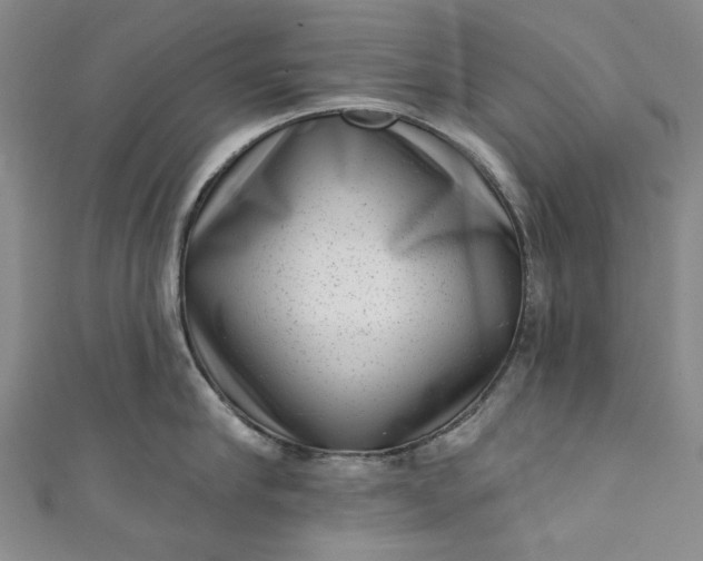 X0000111460910200907271249