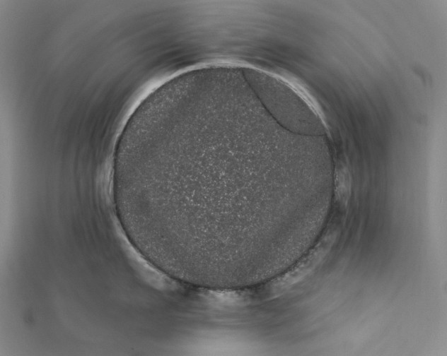 X0000111460911200907271249