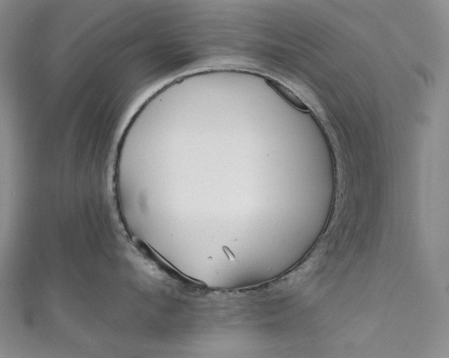 X0000111460912200907271249