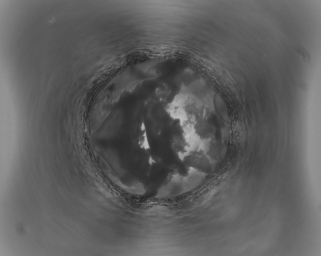 X0000111460913200907271248