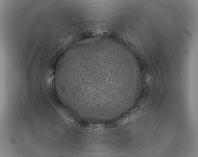 X0000111460914200907271248