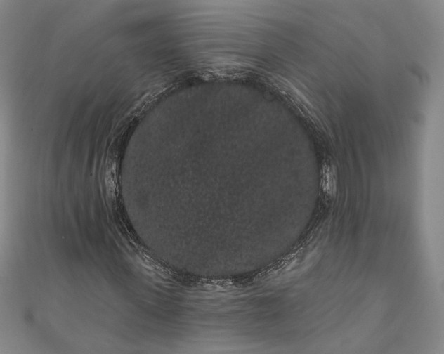 X0000111460915200907271248