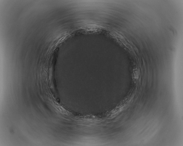 X0000111460916200907271248