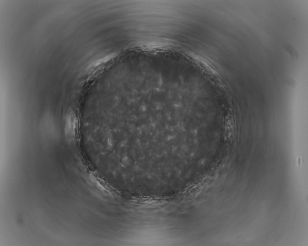 X0000111460917200907271248